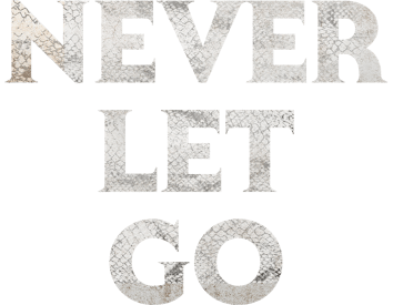 Never Let Go