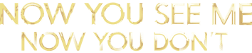Now You See Me: Now You Don't