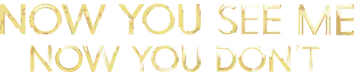 Now You See Me: Now You Don't